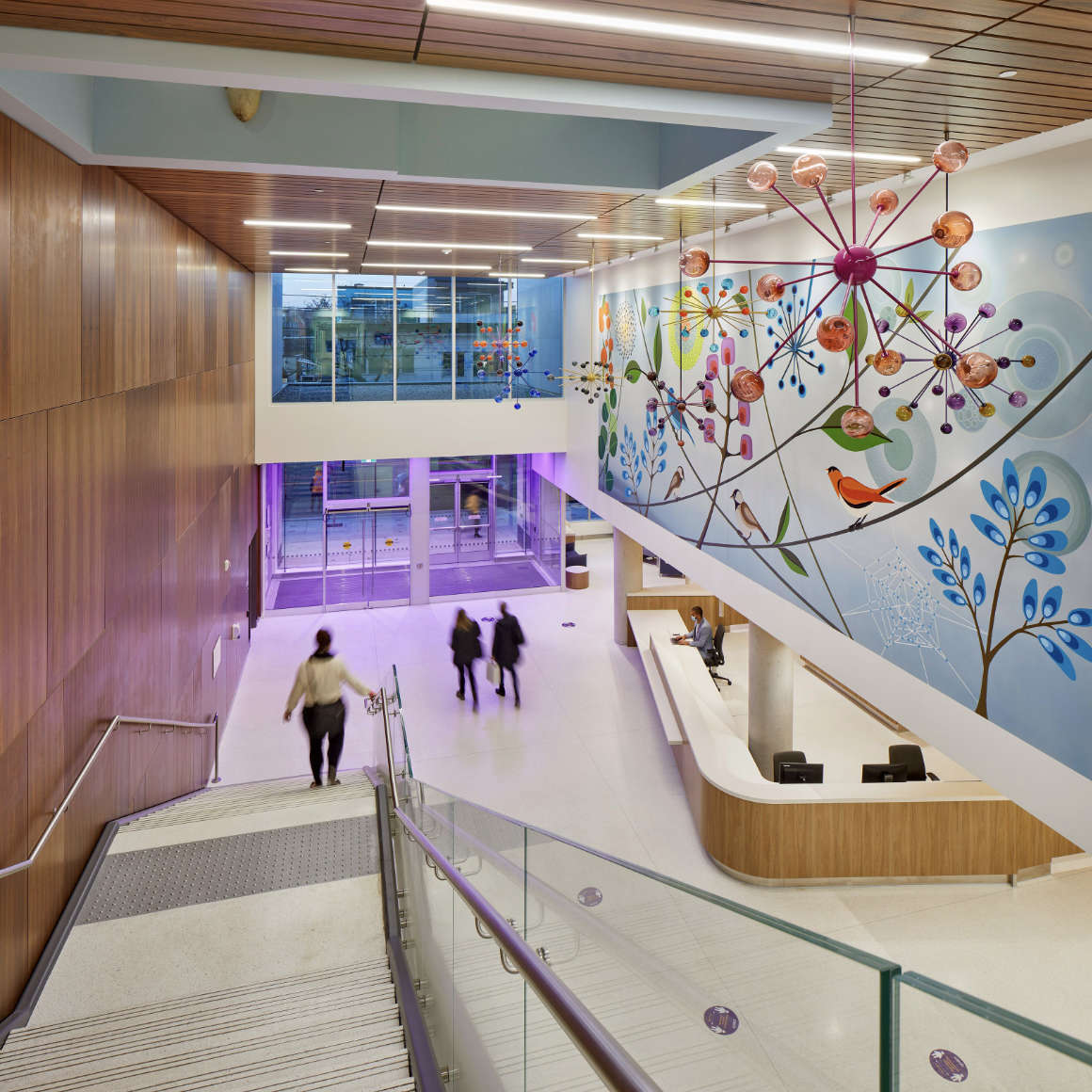 Acute care academic health sciences centre